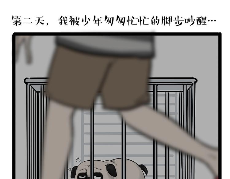 吾皇巴扎黑漫画,第202话 谁动了吾皇的猫粮2图
