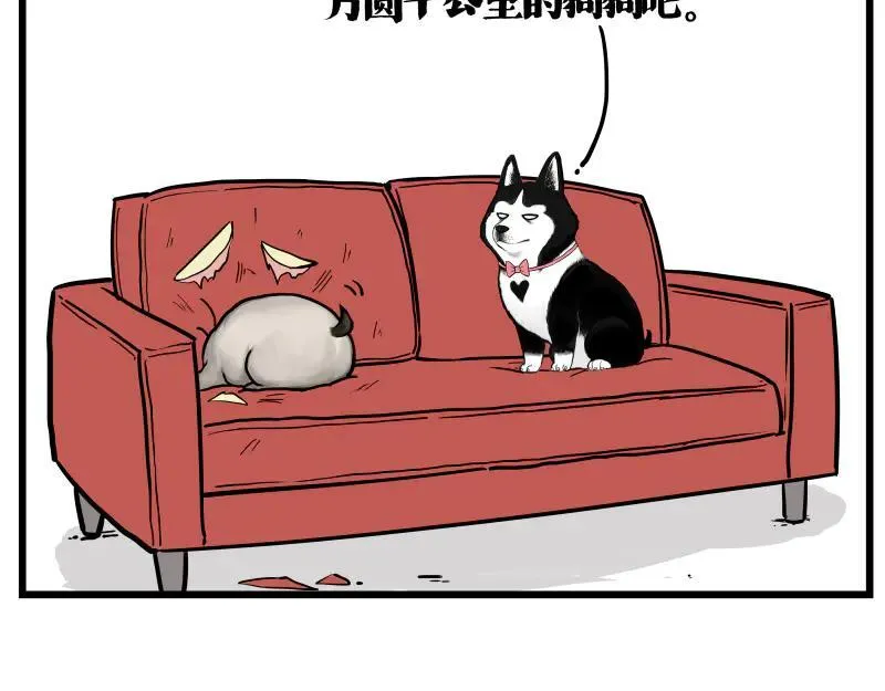 吾皇巴扎黑漫画,第423话 卡沙不拦卡2图