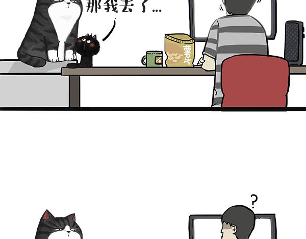 吾皇巴扎黑漫画,第49话 只见新人笑未闻旧人哭1图