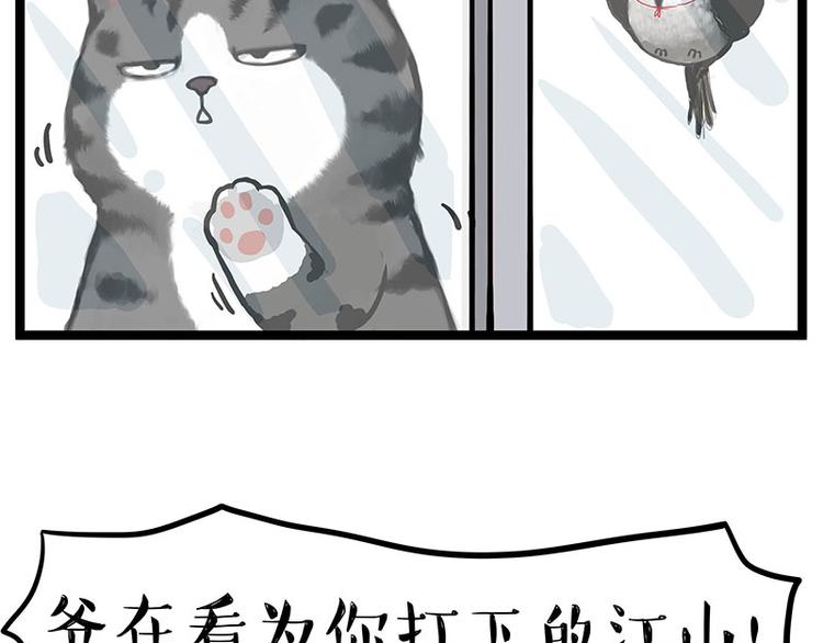 吾皇巴扎黑漫画,第277话 猫斗猫1图