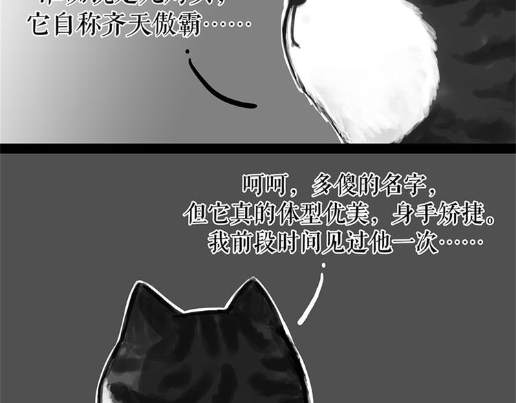 吾皇巴扎黑漫画,第58话 流浪生活1图