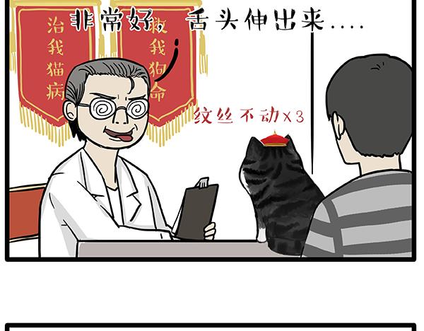 吾皇巴扎黑漫画,第78话 带宠物看病（上）2图
