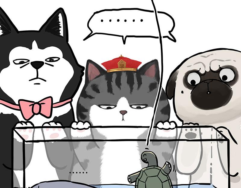 吾皇巴扎黑牛能漫画,第299话 真假虚实2图