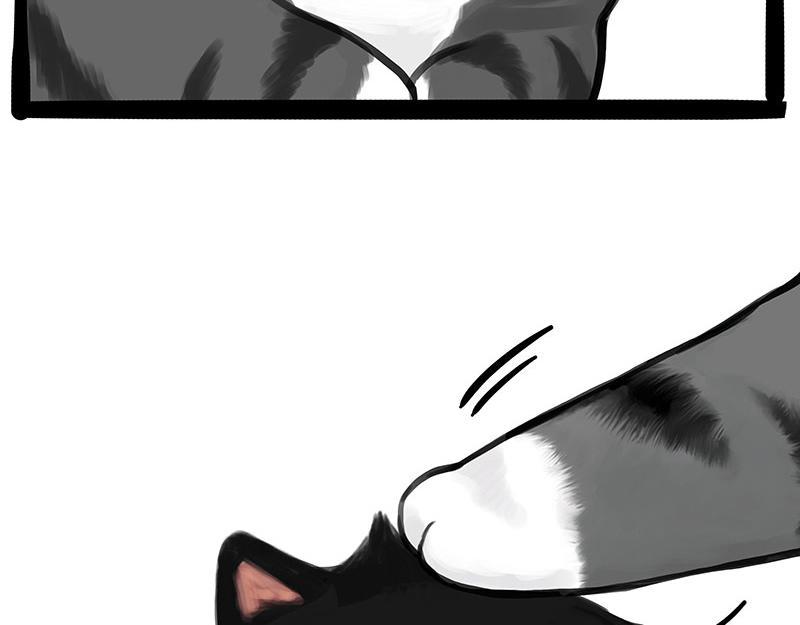 吾皇巴扎黑漫画,第368话 睁一只眼闭一只眼1图