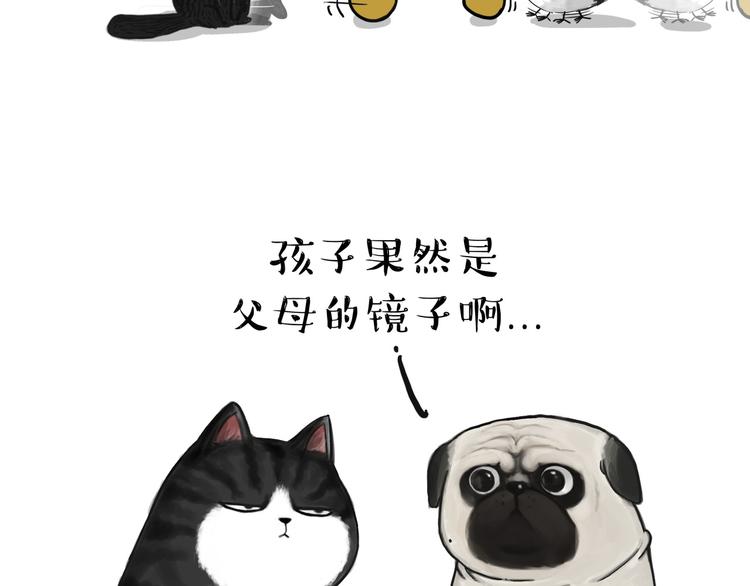 吾皇巴扎黑漫画,第57话 宠物太粘人是什么体验1图