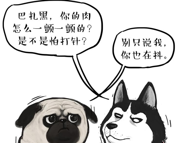 巴扎黑漫画,第218话 你不配有爱情1图
