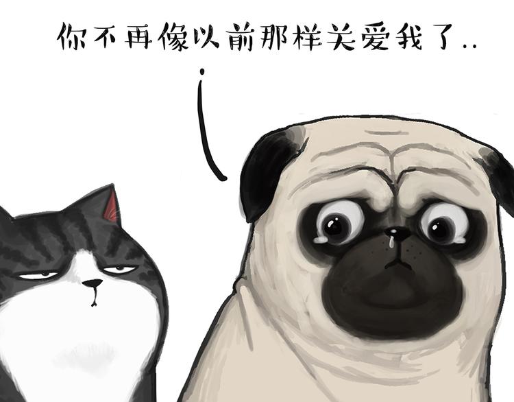 吾皇巴扎黑漫画,第49话 只见新人笑未闻旧人哭1图