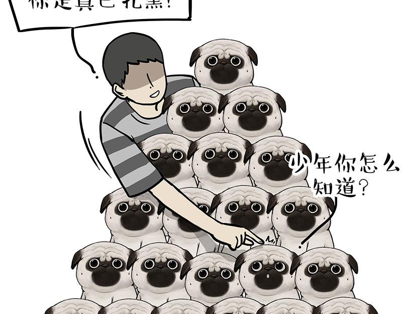 吾皇巴扎黑漫画,第310话 黑里寻黑2图