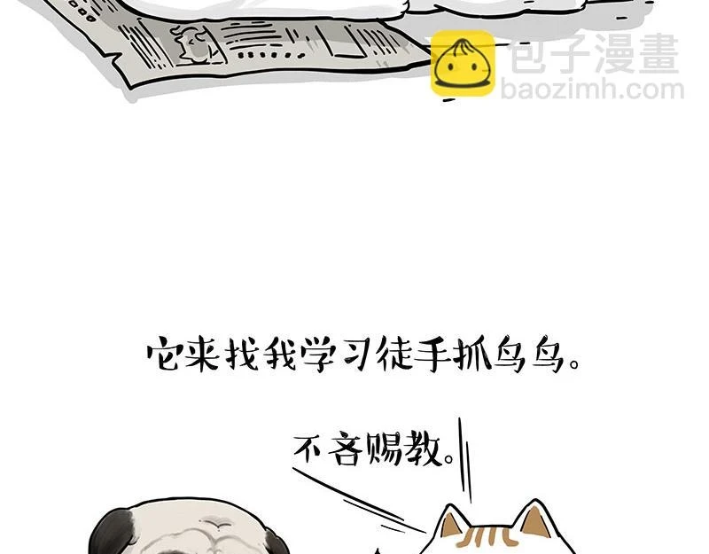 吾皇巴扎黑漫画,第365话 “神犬”巴扎黑2图