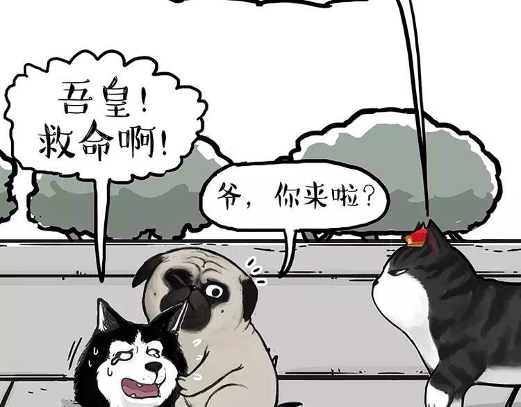 吾皇巴扎黑漫画,第105话 劲往一处使2图