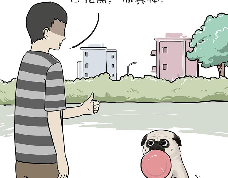 吾皇巴扎黑漫画,第305话 白表白了2图