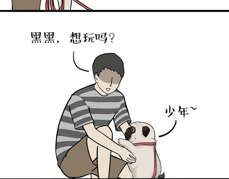 吾皇巴扎黑漫画,第309话 不妙小喵招1图