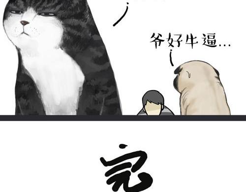 吾皇巴扎黑漫画,第30话 能运功的喵星人1图