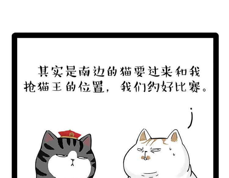 吾皇巴扎黑漫画,第167话 猫王争霸赛2图