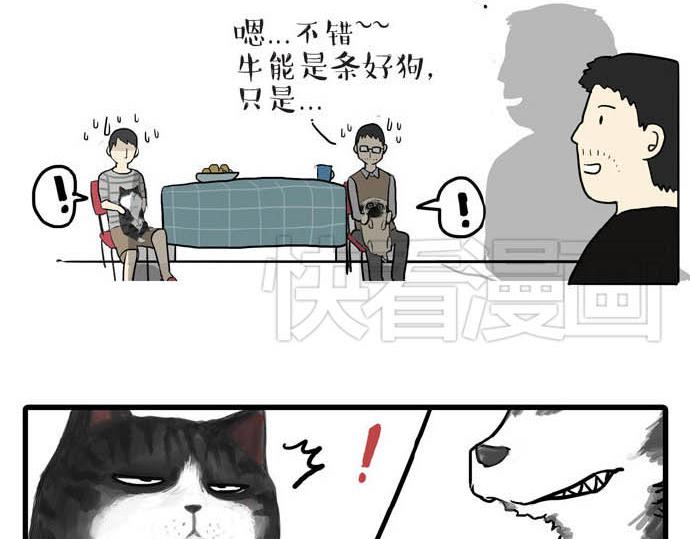 吾皇巴扎黑漫画,第31话 来自喵星人的快感2图