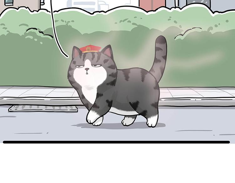 吾皇巴扎黑漫画,第284话 美喵竟是我自己2图