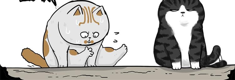吾皇巴扎黑漫画,第58话 流浪生活2图