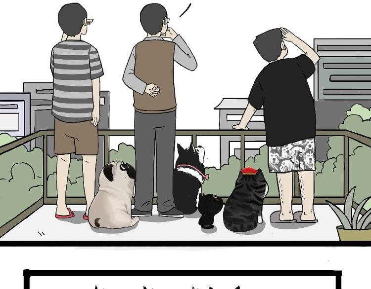 吾皇巴扎黑漫画,第163话 记得回家看看1图