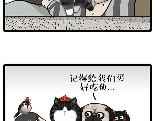 吾皇巴扎黑漫画,第64话 就在你身边2图