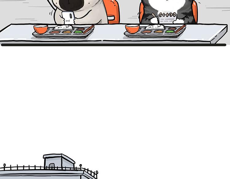吾皇巴扎黑漫画,第276话 高考逆袭2图