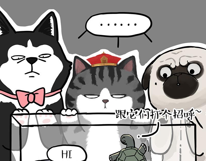 吾皇巴扎黑漫画,第298话 龟与狗与世界1图