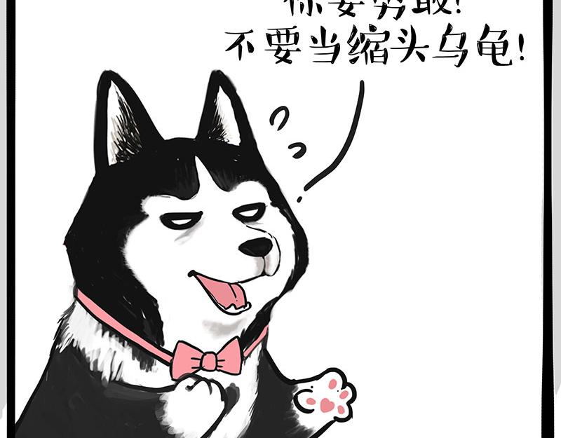 吾皇巴扎黑漫画,第347话 八百个心眼子1图
