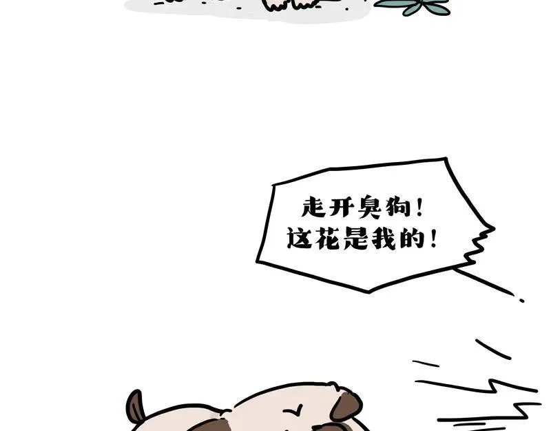 吾皇巴扎黑漫画,第417话 帅哥你谁2图