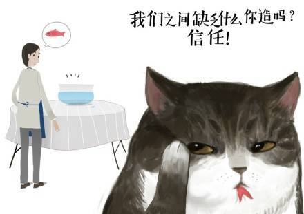 吾皇巴扎黑漫画,第1话 喵星人都是讲原则的！1图