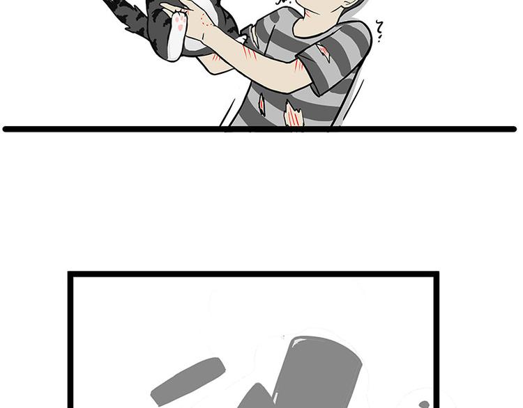 吾皇巴扎黑漫画,第284话 美喵竟是我自己2图