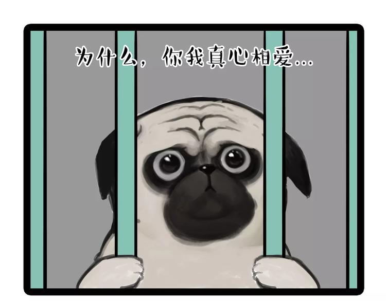 吾皇巴扎黑漫画,第93话 越狱1图