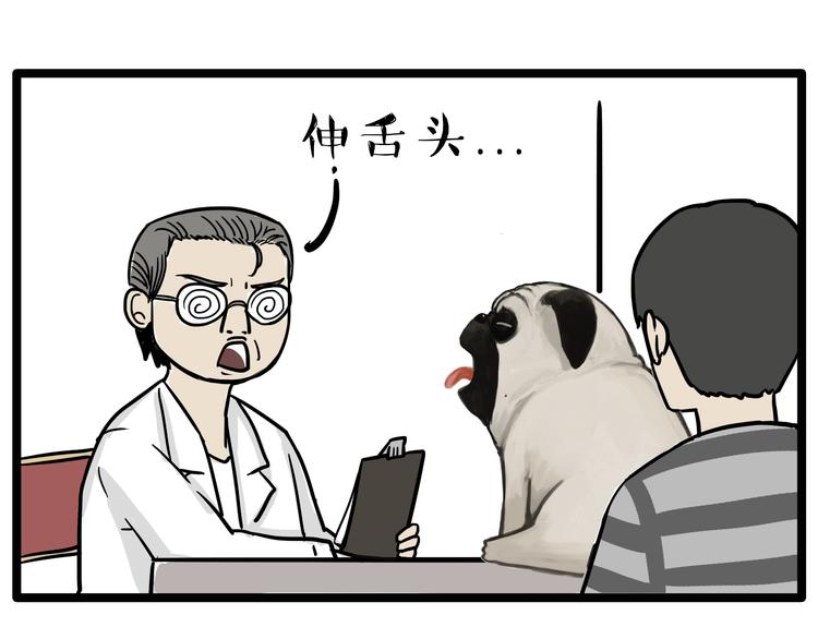 吾皇巴扎黑漫画,第78话 带宠物看病（上）1图