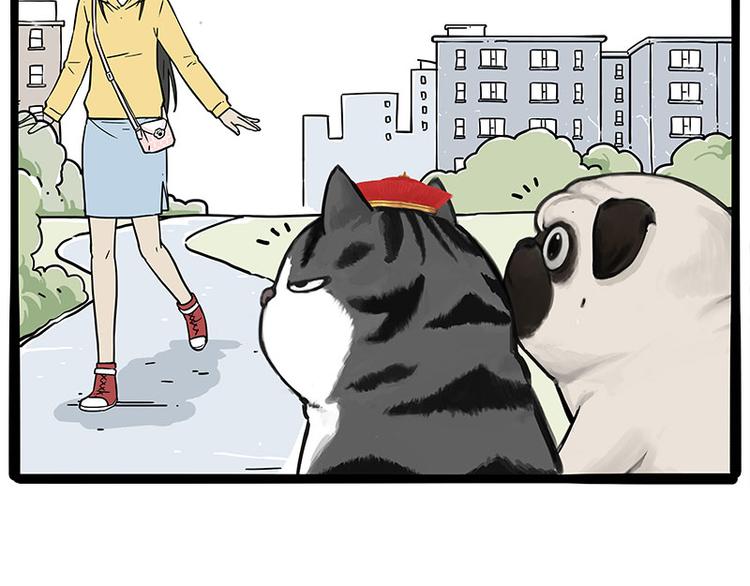吾皇巴扎黑漫画,第233话 你太飘了2图
