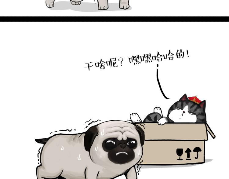 吾皇巴扎黑漫画,第138话 来人救驾1图