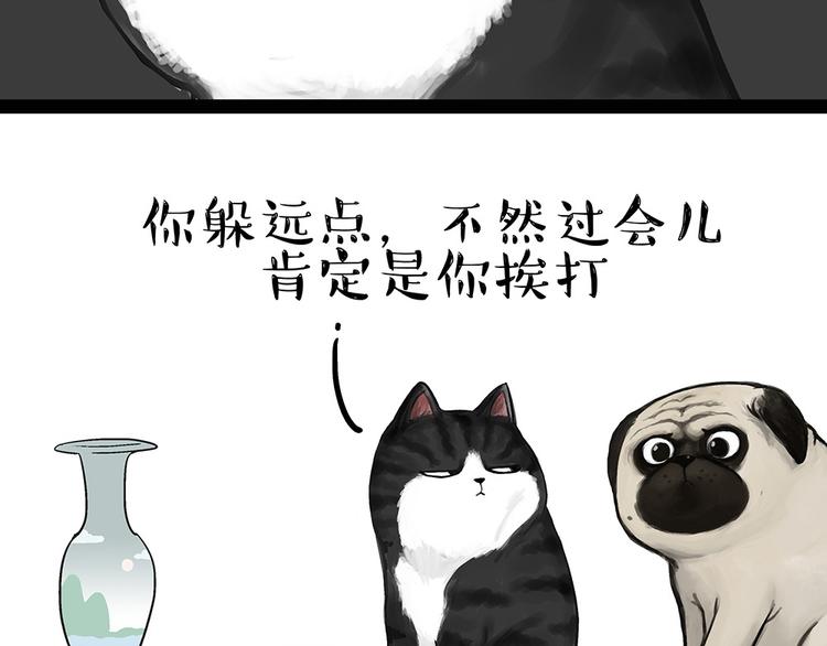 吾皇巴扎黑漫画,第54话 太受关注也不是好事1图