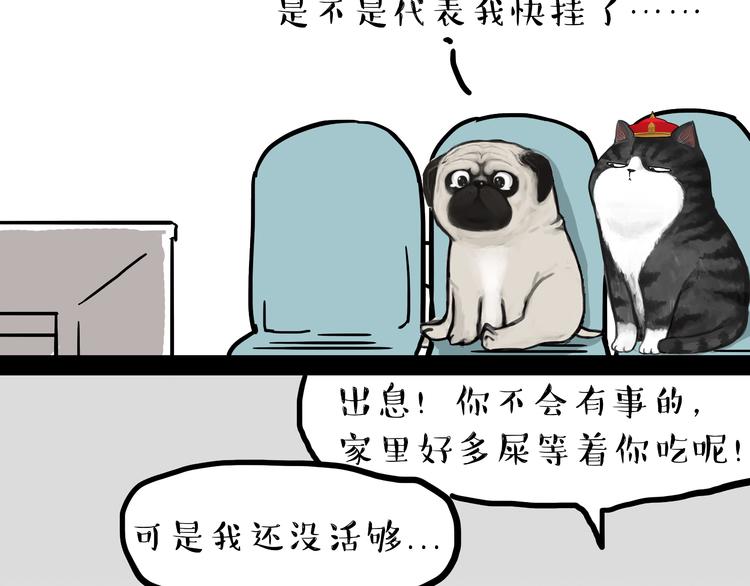 吾皇巴扎黑漫画,第79话 带宠物看病（下）2图