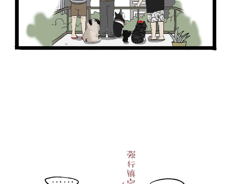 吾皇巴扎黑漫画,第163话 记得回家看看1图