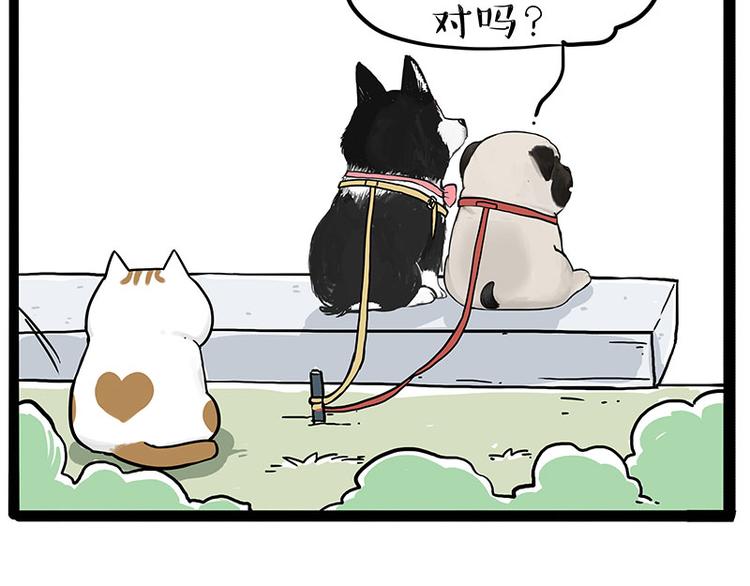 吾皇巴扎黑漫画,第223话 狗知识增加了1图