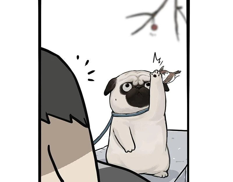 吾皇巴扎黑漫画,第365话 “神犬”巴扎黑1图