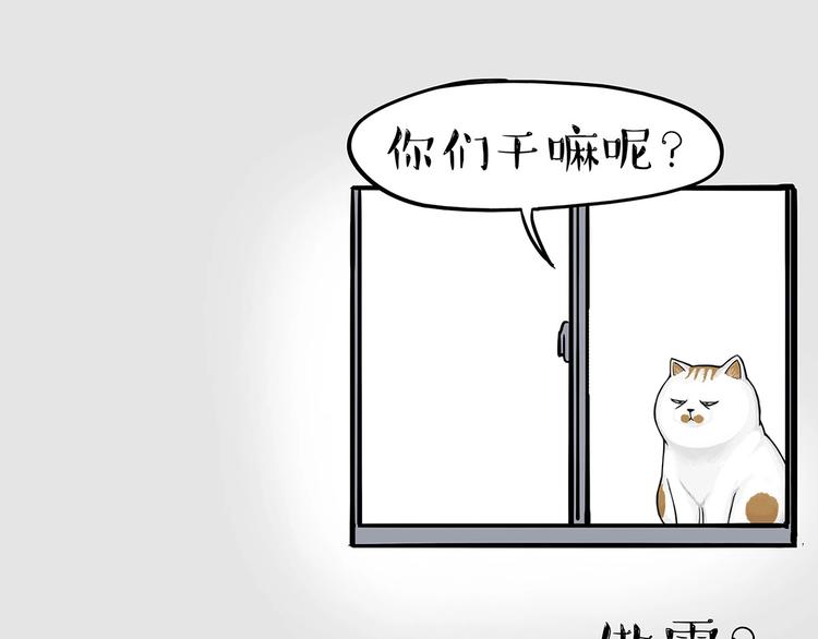 吾皇巴扎黑超话漫画,第202话 谁动了吾皇的猫粮2图
