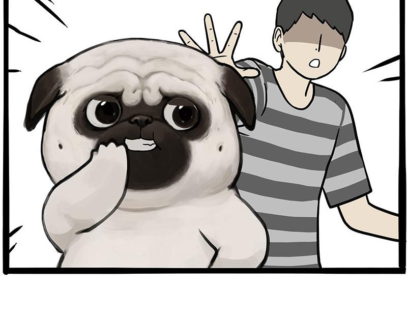 吾皇巴扎黑漫画,第347话 八百个心眼子1图
