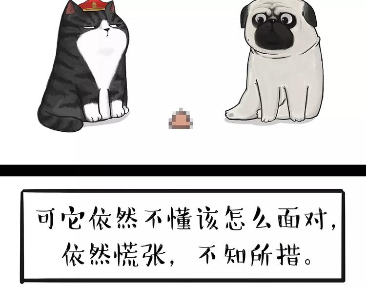 吾皇巴扎黑漫画,第91话 好朋友1图
