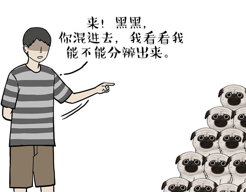 吾皇巴扎黑漫画,第310话 黑里寻黑1图