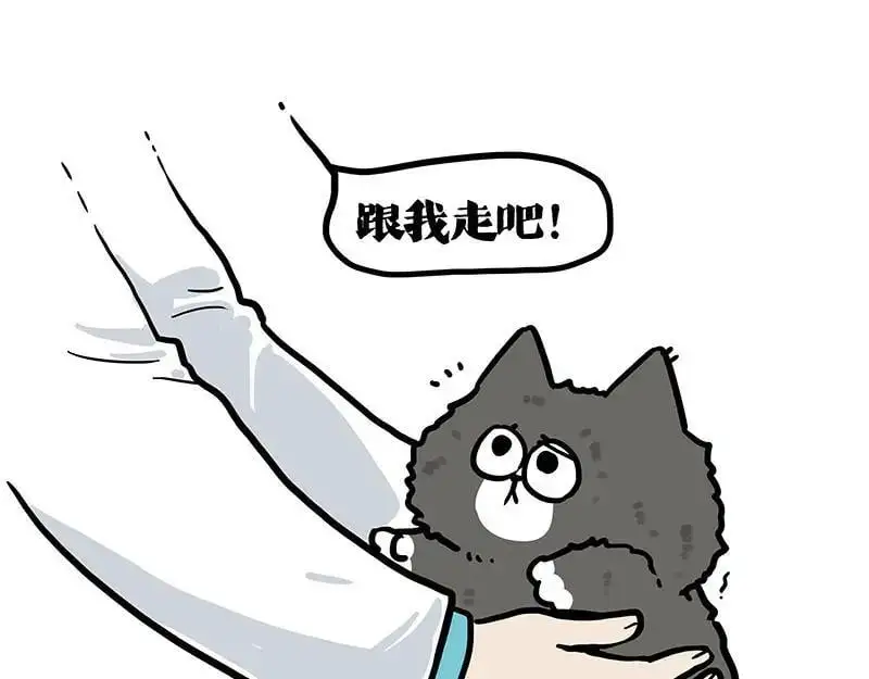 吾皇巴扎黑漫画,第402话 送走！所有！1图