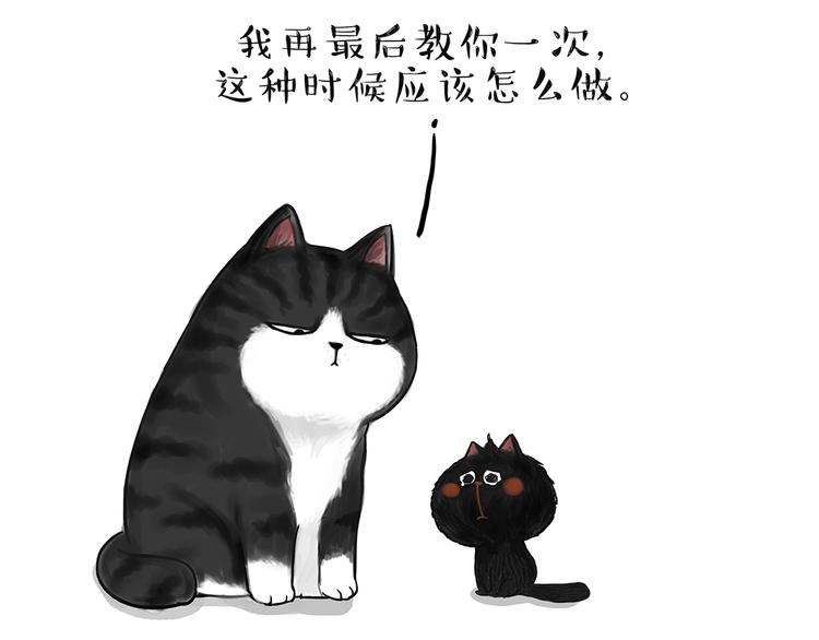 吾皇巴扎黑漫画,第49话 只见新人笑未闻旧人哭1图