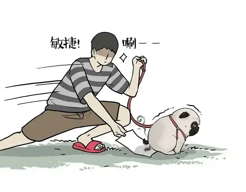 吾皇巴扎黑漫画,第380话 登峰造极2图
