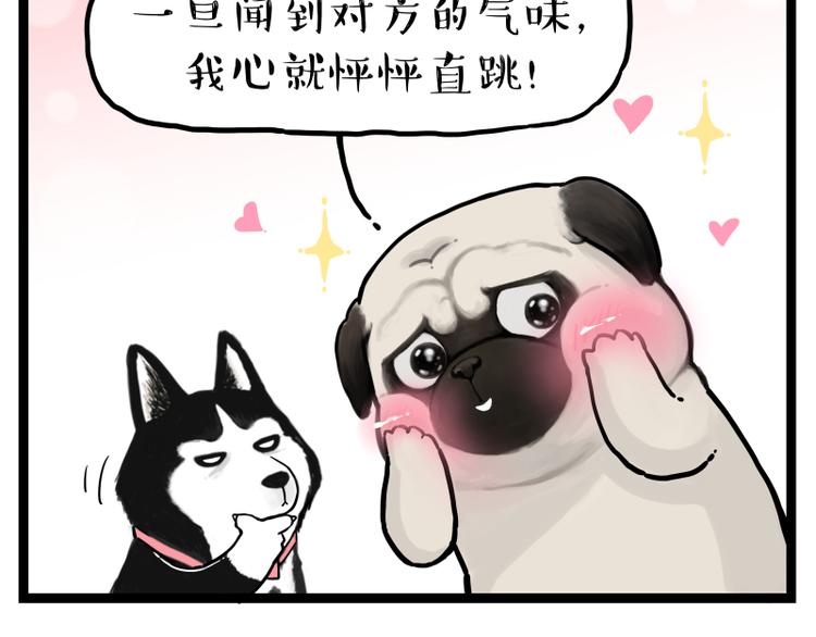 吾皇巴扎黑漫画,第273话 虾仁猪心2图