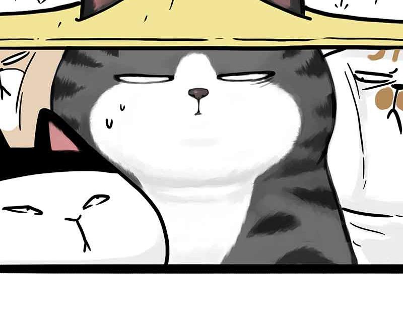 吾皇巴扎黑漫画,第359话 猫洛芬2图