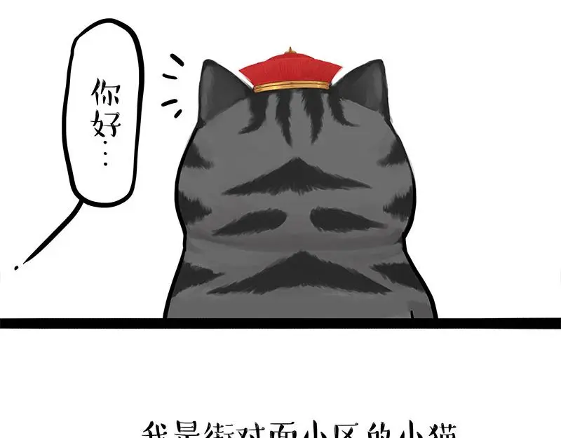 吾皇巴扎黑漫画,第323话 春日恋情？！1图