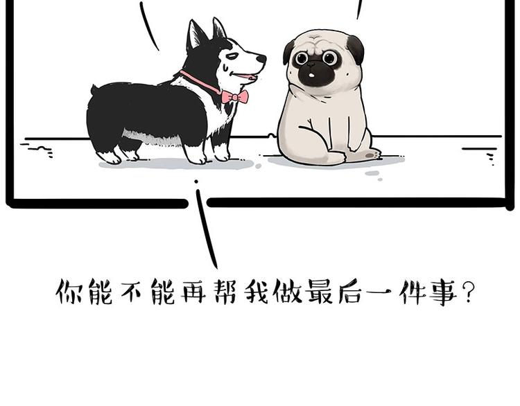 吾皇巴扎黑高清壁纸漫画,第203话 宅家不如挨顿打！1图