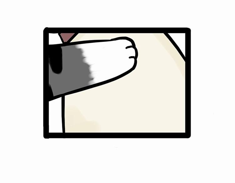 吾皇巴扎黑漫画,第171话 不许你走！1图